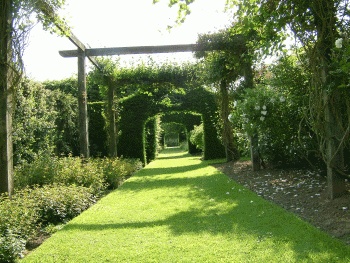 Rasen im Garten