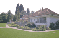Rasensamen Garten