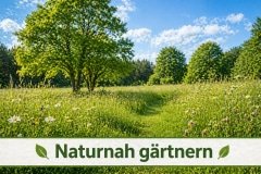 Biologische Rasenecke