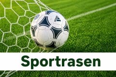 Sportrasen-Samen