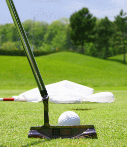 Golfrasen f�r Green 412
