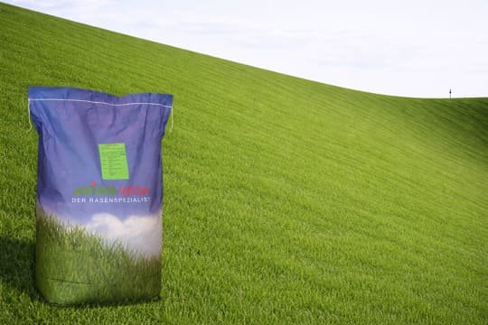 B�schungsrasen: B�schungsmischung ohne Klee