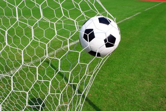 Sportrasen f�r Schattenlagen mit Supranova