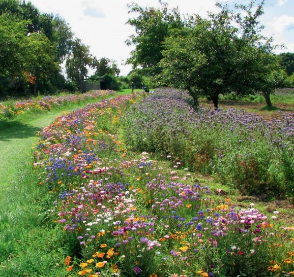 Blumenwiese LaFleur chrono