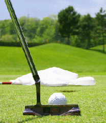 Golfrasen f�r Green 412
