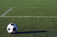 Sportrasen f�r Regeneration S321