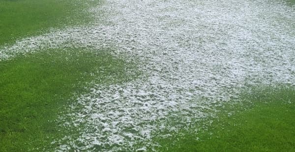 Die Bodentemperatur passt nicht zur Aussaat Die Bodentemperatur passt nicht zur Aussaat