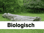 naturnahe Rasen- und Kräutermischungen etc. naturnahe Rasen- und Kräutermischungen etc.