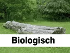 naturnahe Rasen- und Kräutermischungen
