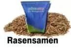 Rasensamen