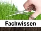 Fachwissen zum Thema Rasen