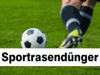 Sportrasendünger Sportrasendünger
