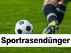 Sportrasendünger