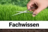 Rasen Anleitungen Rasen Anleitungen - Rasenpflege, Rasenansaat und Rasennachsaat