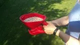 Rasenpflege im Frühjahr Rasenpflege im Frühjahr