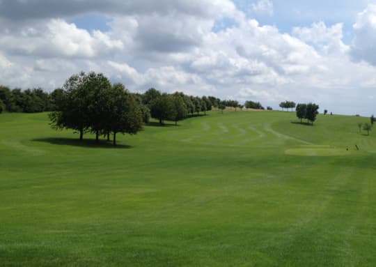  Golfrasen Fairway-Mischung 3