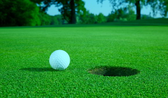 Golfrasen für Green 412