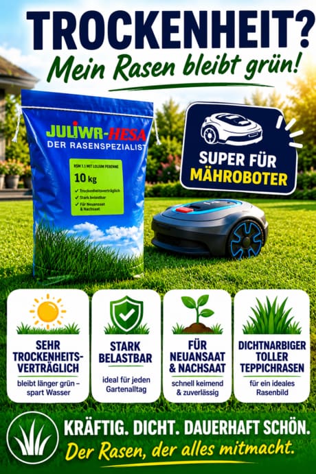 Mähroboter Trockenrasen  - trockenheitsveträgliche Rasenmischung zur Nachsaat und Neuanlage