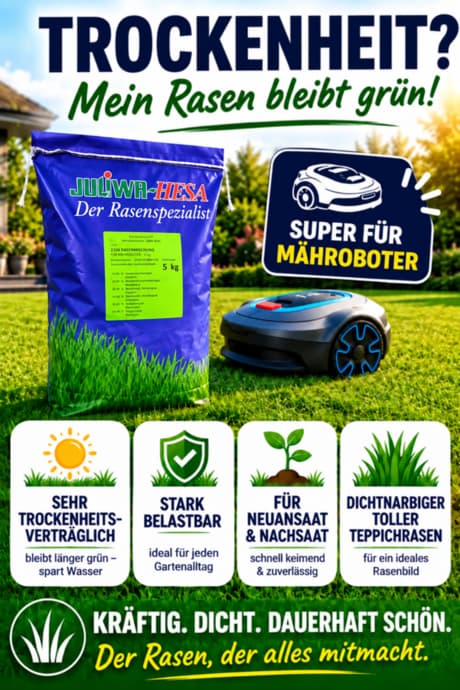 Mähroboter Trockenrasen  - trockenheitsverträgliche Rasenmischung zur Nachsaat und Neuanlage