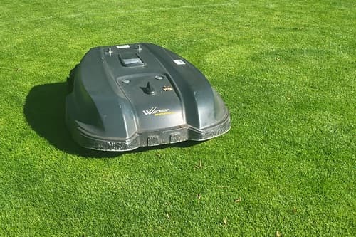 MÄHROBOTERRASEN – RASENSAMEN UND RASENSAATGUT FÜR VON MÄHROBOTERN GEMÄHTEN RASENFLÄCHEN MÄHROBOTERRASEN – RASENSAMEN UND RASENSAATGUT FÜR VON MÄHROBOTERN GEMÄHTEN RASENFLÄCHEN