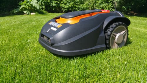 Trockenrasen (Mähroboter geeignet) - zur Nachsaat und Neuanlage Trockenrasen (Mähroboter geeignet) - zur Nachsaat und Neuanlage