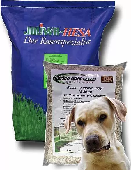 Hunderasen - belastbarer Rasen für Hunde