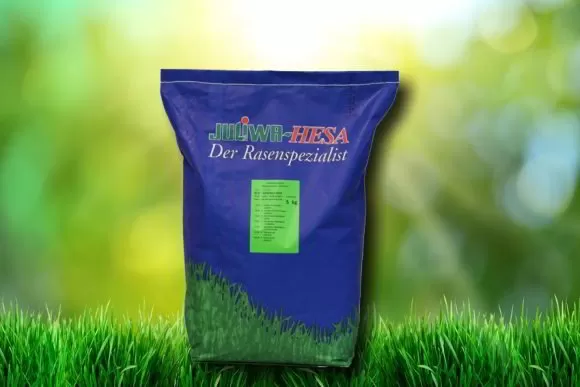 Schattenrasen mit Poa supina