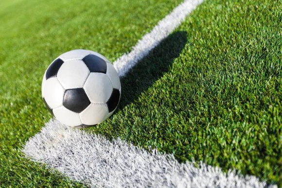 Sportrasen - belastbarer Sportrasen für Ihren Garten