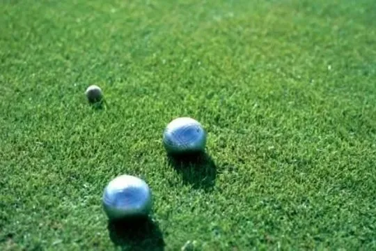 Rasenzauber - Blitzrasen in TOP-Qualitaet