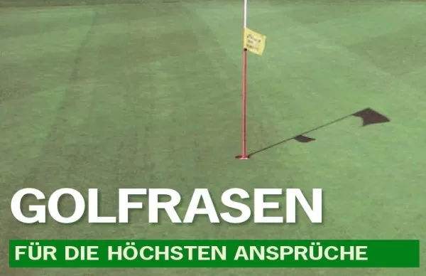 Golfrasen Approach Festuca