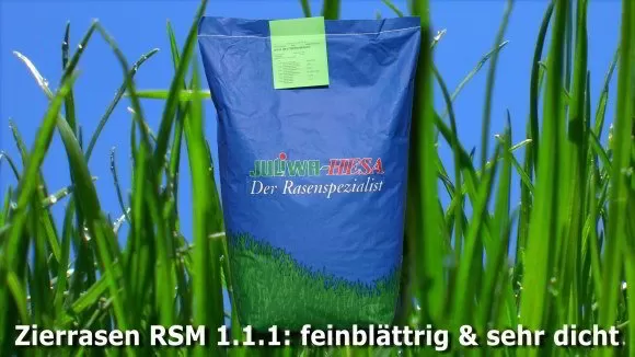 Zierrasen mit Lolium perenne RSM 1.1.1