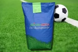 Sportrasen für Neuanlage RSM 3.1 Sportrasen für Neuanlage RSM 3.1