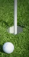 Abschlagrasen (Schattenrasen) GOLF 4301 Abschlagrasen (Schattenrasen) GOLF 4301