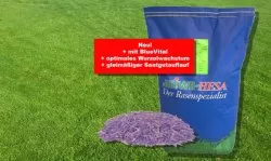 Turbo Nachsaatrasenmischung Turbo Nachsaatrasenmischung