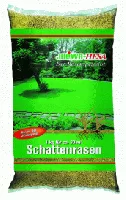 Schattenrasen / Sc 05 Schattenrasen / Sc 05