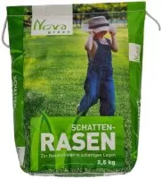 Kleinpackung Schattenrasen Kleinpackung Schattenrasen