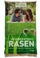 Regenerationsrasen / Re 10 Regenerationsrasen / Re 10