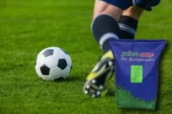 Sportrasen BUGA Nr.6