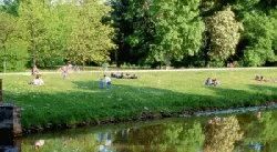 Gebrauchsrasen - Kraeuterrasen RSM 2.4