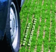 Parkplatzrasen mit Kräutern Parkplatzrasen mit Kräutern