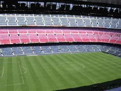 Regenerationsrasen-Stadionrasen Regenerationsrasen-Stadionrasen