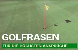 Golfrasen Approach Festuca Golfrasen Approach Festuca
