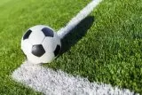 Sportrasen - belastbarer Sportrasen für Ihren Garten Sportrasen - belastbarer Sportrasen für Ihren Garten