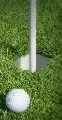 Abschlagrasen (Schattenrasen) GOLF 4301 Abschlagrasen (Schattenrasen) GOLF 4301