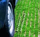 Schotterrasen für befahrbare Rasenflächen Schotterrasen für befahrbare Rasenflächen