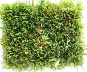 Super Over Seeding Regenerationsmischung Herbst und Fruehjahr