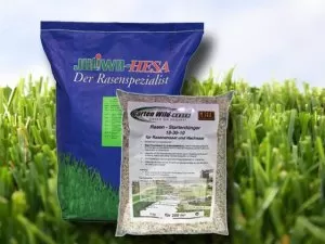 Grassamen Schattenrasen