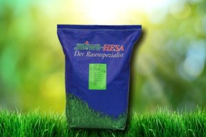 Schattenrasen RSM Poa supina
