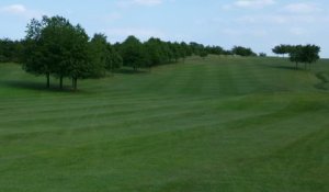 Golfrasen 444 Fairway 3 RSM 4.4 Variante 4