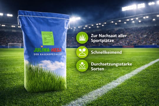 Regenerationsrasen - Stadionrasen RSM 3.2 Regenerationsrasen - Stadionrasen RSM 3.2